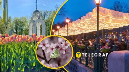 Погода в Харькове