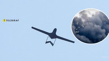 БЛПА та дим