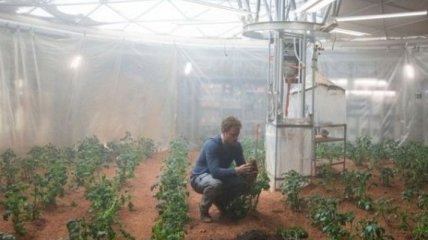 NASA исследует Марс, чтобы начать выращивать там картофель