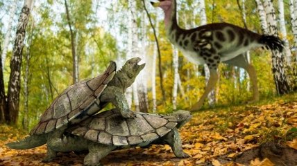 Пережила массовое вымирание: найдены останки древней черепахи