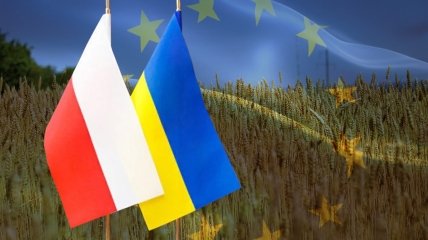 Поляки испуганы потенциалом украинского бизнеса