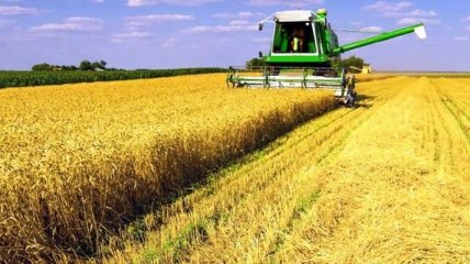Госстат: В Украине растет сельхозпроизводство