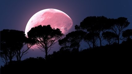 Місяць стане повним у ніч на 31 серпня