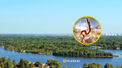 Рыбалка на Трухановом острове была успешной