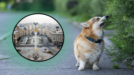 Погода у Києві