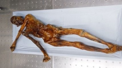 Ученые узнали секрет замерзшей мумии древнего человека Эци