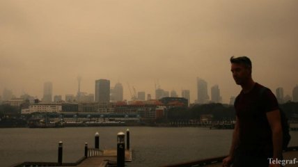 Пожары в Австралии: в Сиднее уровень загрязнения воздуха превышает норму в 11 раз