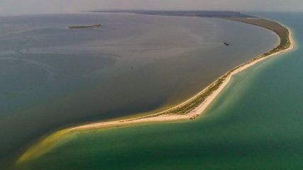 На Кінбурнській косі зацвіло найбільше в Європі поле диких орхідей