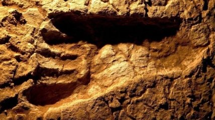 Ученые: в Канаде найдены древние следы человека