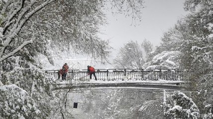 Прогноз погоды на 30 января: в Украине будет тепло и сыро 