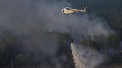 У Чорнобильській зоні горить 10 гектарів лісу (Відео)