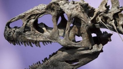 Останки самого древнего аллозавра Земли нашли в США