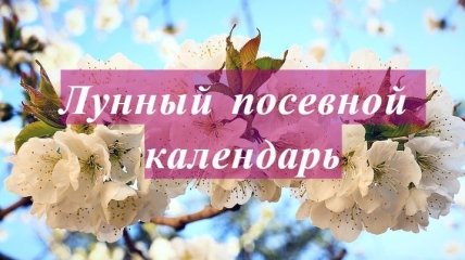 Лунный посевной календарь с 6 по 12 апреля 2020 года