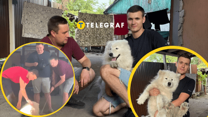 Что заявили в компании