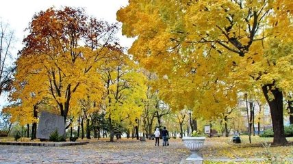 Погода в Украине 23 ноября: облачно, без осадков