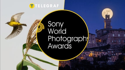 Иллюстративное фото