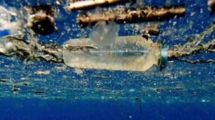 Как пластиковый мусор влияет на полезные бактерии в океанах