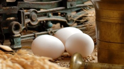 Куриные яйца полезны в борьбе с лишним весом