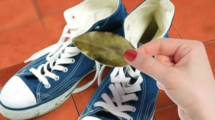 Как избавиться от плохого запаха их обуви - лайфхак