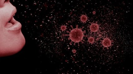 "Для большинства вирусологов и эпидемиологов станет шоком": вирусы могут передаваться через пыль