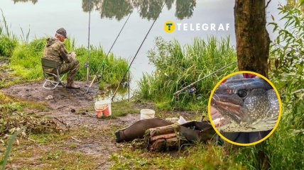 Всем бы такую удачную рыбалку