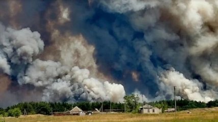 Пожары в Луганской области: от огня пострадало более 5 тысяч гектаров 