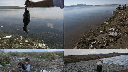 Озеро Титикака превращается в грязное болото (Фото)