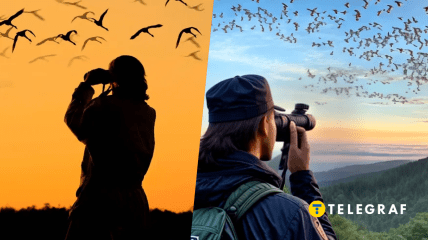 Орнітологи