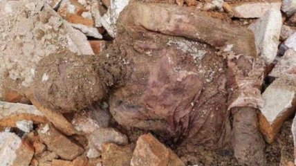Предполагаемую мумию шаха нашли в Иране 
