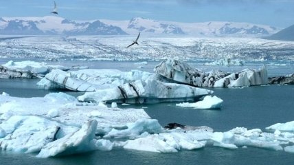 Ученые сделали удивительное открытие об Арктике