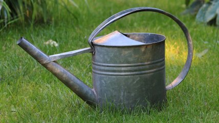 Поливати город перекисом водню дуже корисно для землі