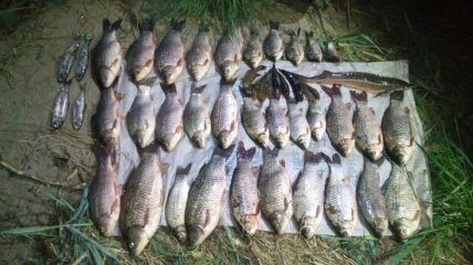 На Николаевщине браконьер наловил рыбы на крупную сумму