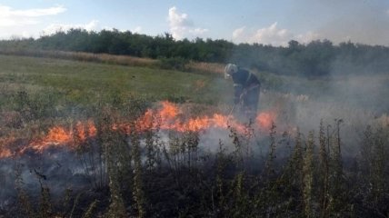 В Днепропетровской области спасатели потушили возгорание сухостоя (Фото)