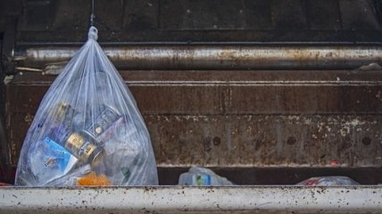 Сейм Литвы введет штрафы за раздачу бесплатных пластиковых пакетов