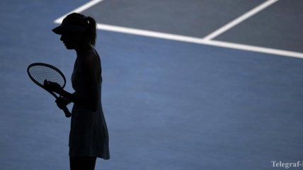 ATP и WTA "заморозят" теннисные рейтинги