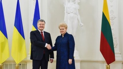 Агрессия РФ и сотрудничество в энергетике: о чем договорились Украина и Литва