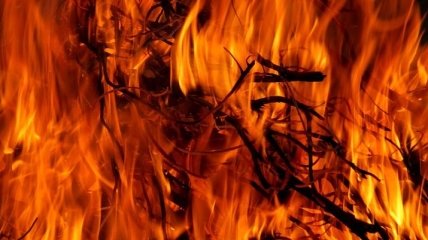Практически самоубийство: на Одесчине пенсионерка погибла из-за сжигания мусора во дворе