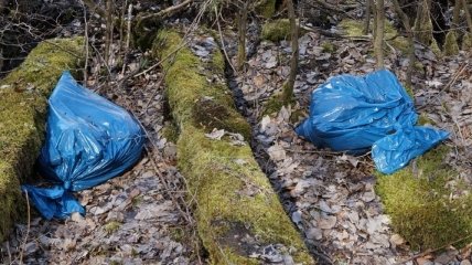 В Раде предлагают запретить пластиковые пакеты