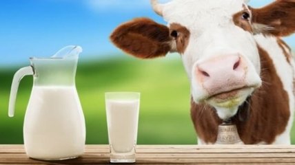 Здоровое питание: 10 мифов о молоке, в которые мы слепо верим