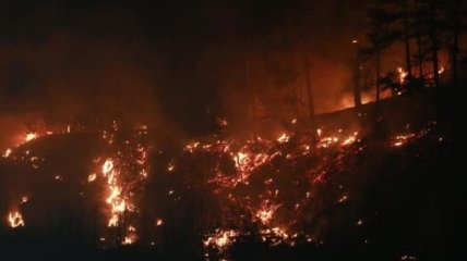 В Китае масштабный пожар охватил 100 га леса (Видео)