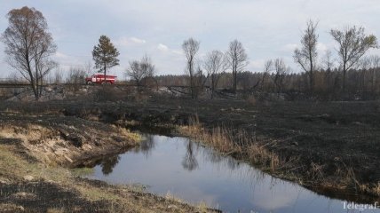 В "Чернобыльской пуще" до сих пор борются с пожаром