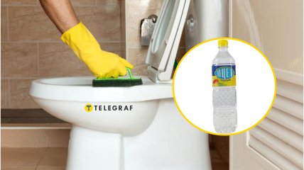 Хозяйки нашли дешевую альтернативу химии
