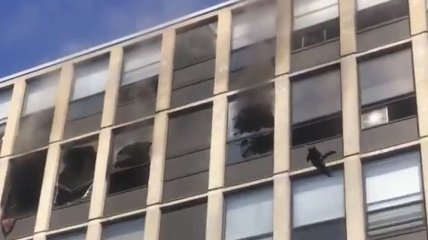 Кот прыгнул с 5 этажа горящего здания и пошел гулять дальше: момент попал на видео