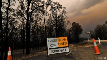 В Австралии для борьбы с пожарами призвали военных 