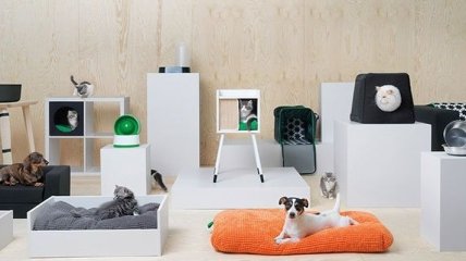 Новая коллекция мебели для домашних животных (Фото) 