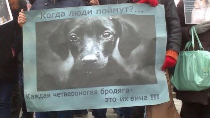 Как в столице протестовали против убийства животных