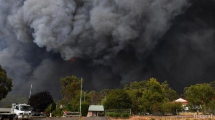 Жара и лесные пожары: в Австралии объявили чрезвычайное положение