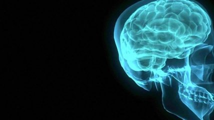 Правда ли, что человек использует мозг лишь на 10% ?