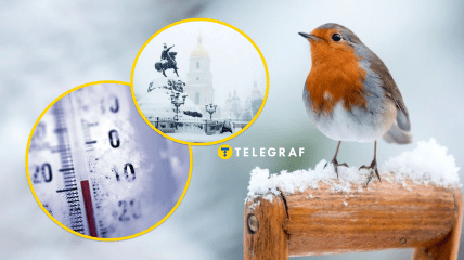 Погода в Киеве