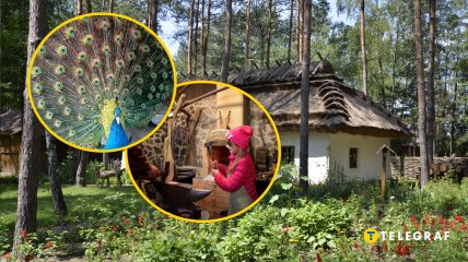 Райский уголок под Киевом